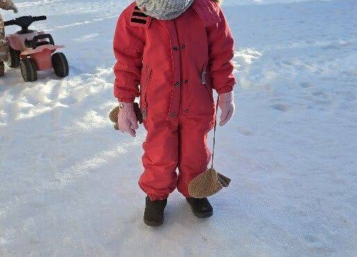 Grafika 3: Temat kompleksowy ,, W krainie Dinozaurów''