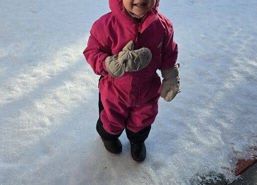 Grafika 8: Temat kompleksowy ,, W krainie Dinozaurów''