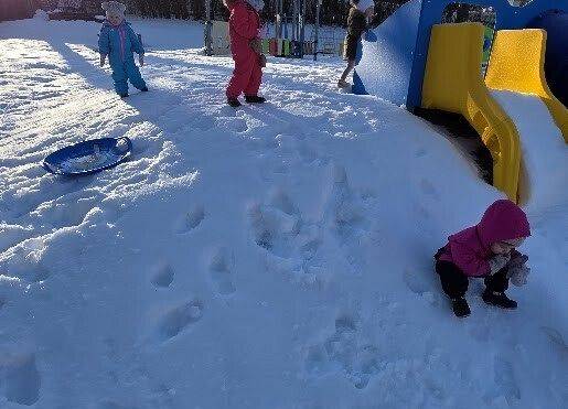 Grafika 12: Temat kompleksowy ,, W krainie Dinozaurów''