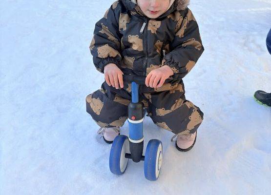 Grafika 29: Temat kompleksowy ,, W krainie Dinozaurów''