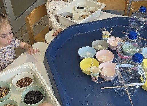 Grafika 1: Eko karmniki dla ptaszków