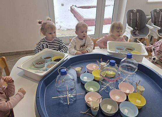 Grafika 3: Eko karmniki dla ptaszków