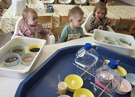 Grafika 4: Eko karmniki dla ptaszków