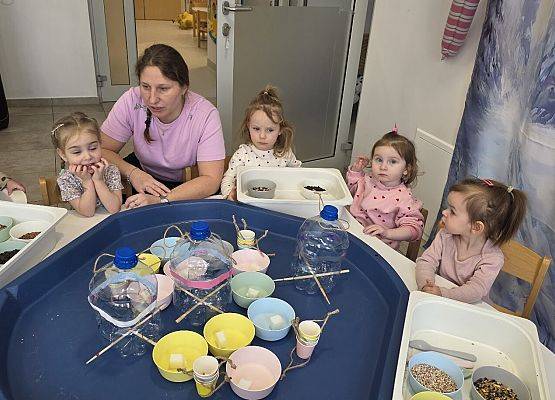 Grafika 6: Eko karmniki dla ptaszków