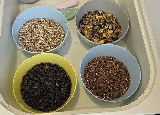 Grafika 5: Eko karmniki dla ptaszków