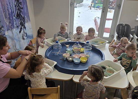 Grafika 8: Eko karmniki dla ptaszków