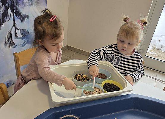 Grafika 9: Eko karmniki dla ptaszków