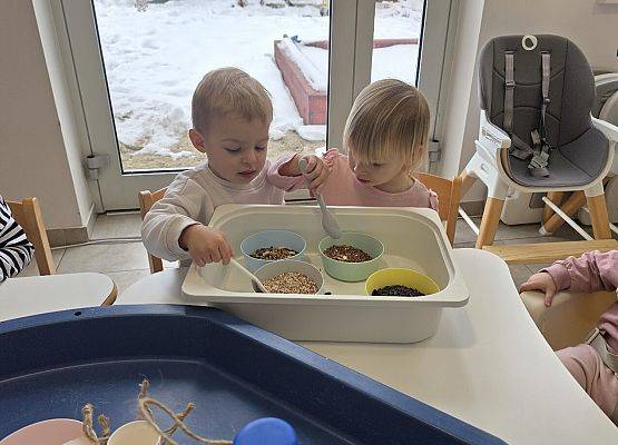 Grafika 11: Eko karmniki dla ptaszków