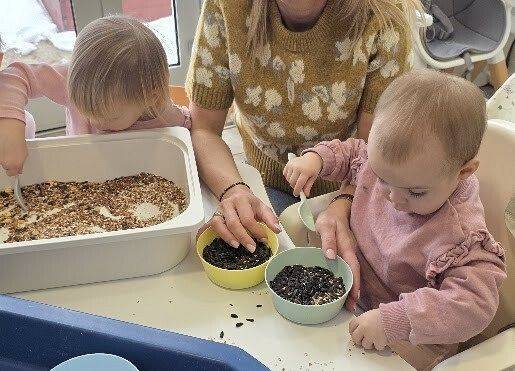 Grafika 12: Eko karmniki dla ptaszków