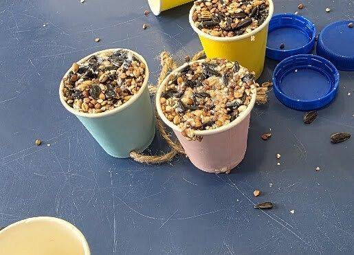 Grafika 15: Eko karmniki dla ptaszków