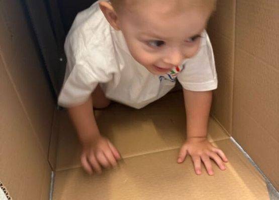 Grafika 4: "Sekrety kartonowego labiryntu"