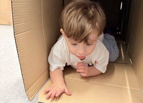 Grafika 5: "Sekrety kartonowego labiryntu"