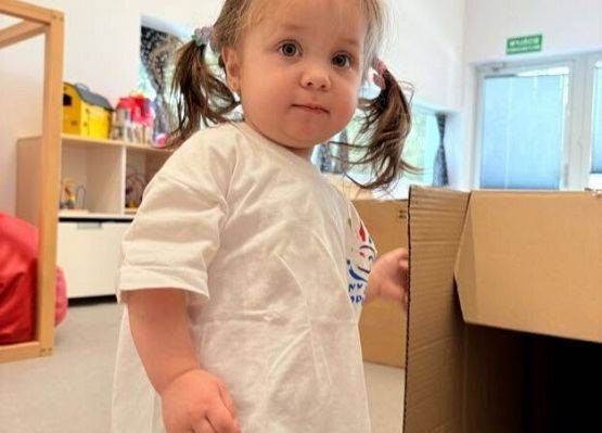 Grafika 7: "Sekrety kartonowego labiryntu"