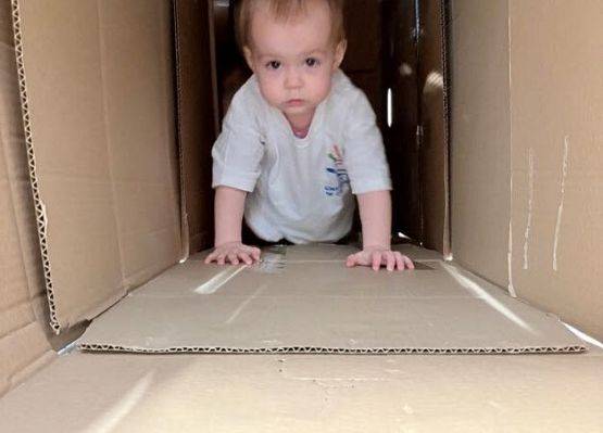 Grafika 11: "Sekrety kartonowego labiryntu"