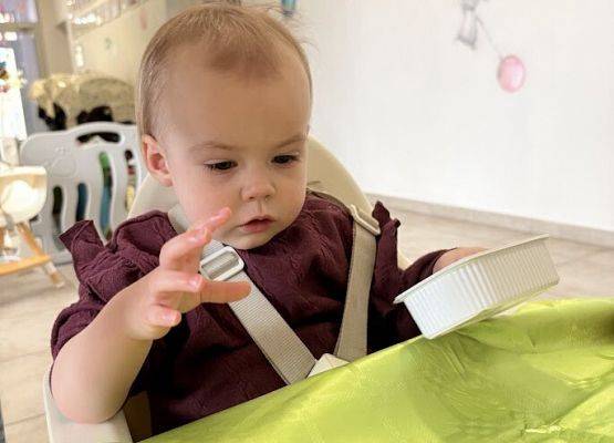 Grafika 1: Od ziarenka do roślinki