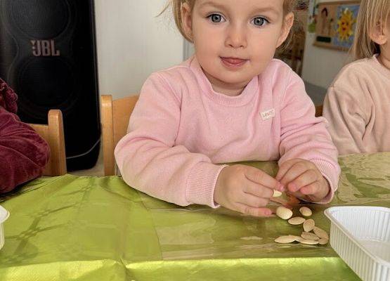 Grafika 3: Od ziarenka do roślinki