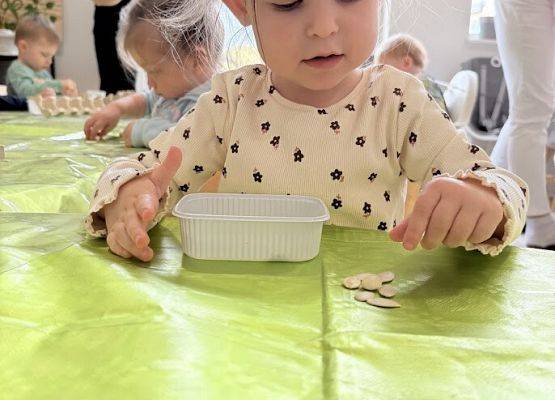 Grafika 5: Od ziarenka do roślinki