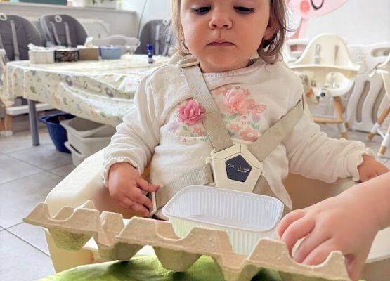 Grafika 6: Od ziarenka do roślinki