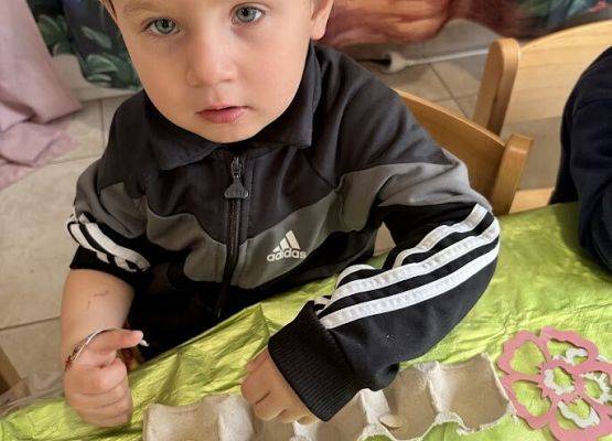 Grafika 7: Od ziarenka do roślinki