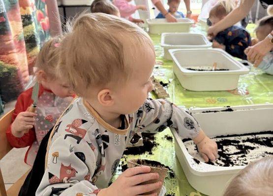 Grafika 8: Od ziarenka do roślinki