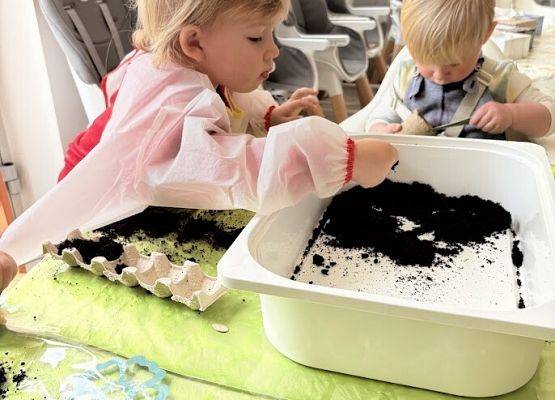 Grafika 10: Od ziarenka do roślinki