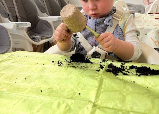 Grafika 11: Od ziarenka do roślinki