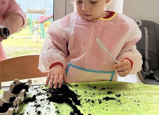 Grafika 12: Od ziarenka do roślinki