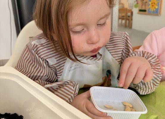 Grafika 13: Od ziarenka do roślinki