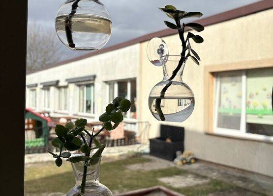 Grafika 16: Od ziarenka do roślinki