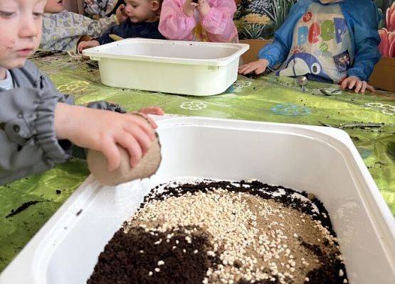 Grafika 17: Od ziarenka do roślinki