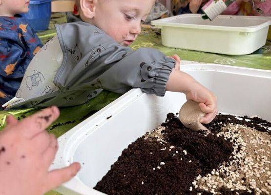 Grafika 18: Od ziarenka do roślinki