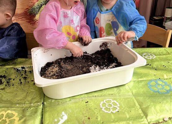 Grafika 19: Od ziarenka do roślinki