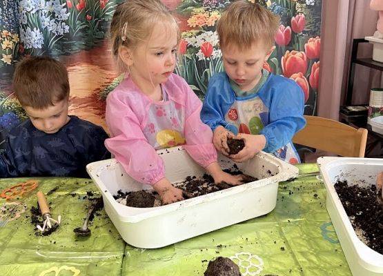 Grafika 21: Od ziarenka do roślinki