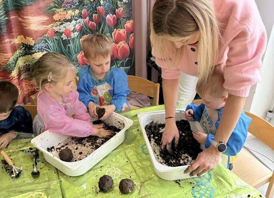 Grafika 22: Od ziarenka do roślinki