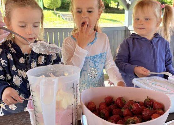 Grafika 1: ,,Lody Shake i Deserki''