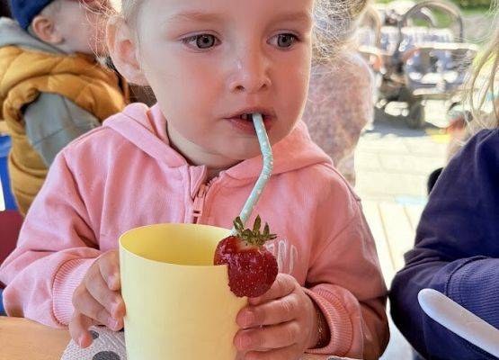 Grafika 7: ,,Lody Shake i Deserki''